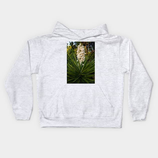 Blooming Yucca tree at sunset Kids Hoodie by AlexK